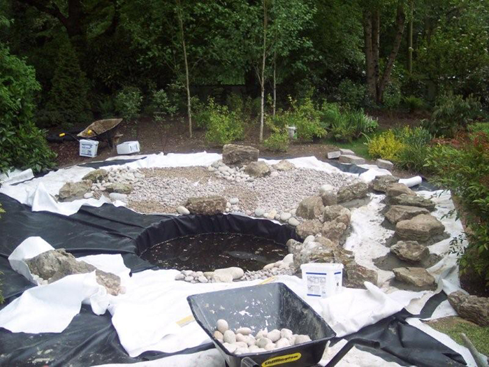 Pond Construction