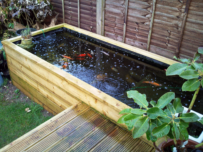 Timber Fish Pond