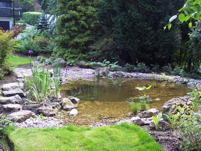 Pond Construction