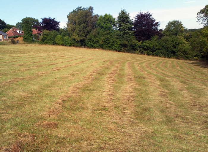 Field Topping