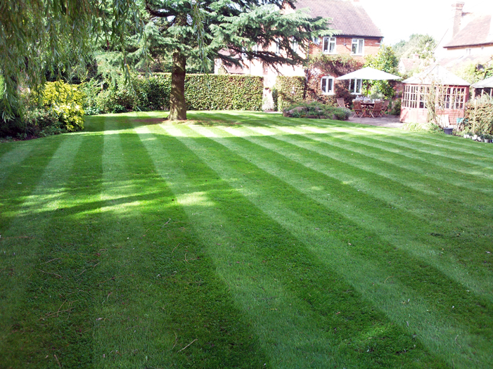 Grass Cutting
