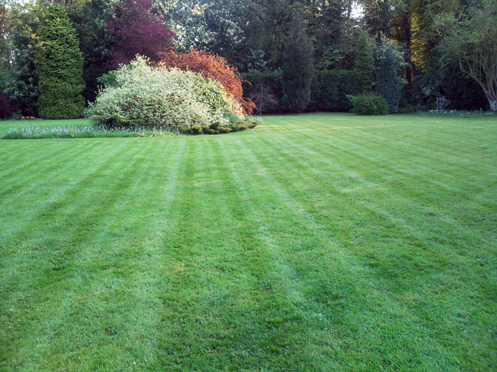 Mown With A Mulching Mower