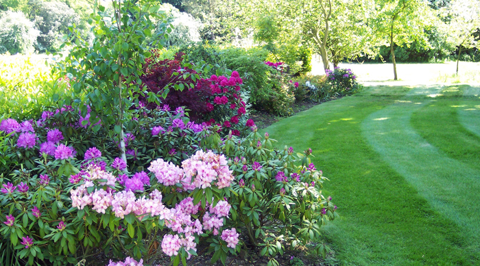 Garden Maintenance